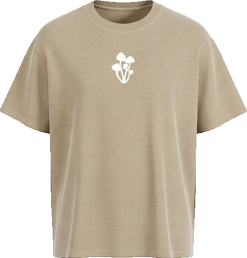 The Replete heavyweight washed tee in Sand, front view