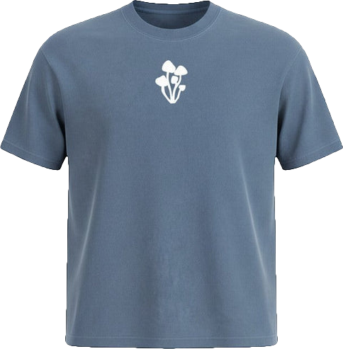 The Buckhannon heavyweight washed tee in Washed Blue, front view