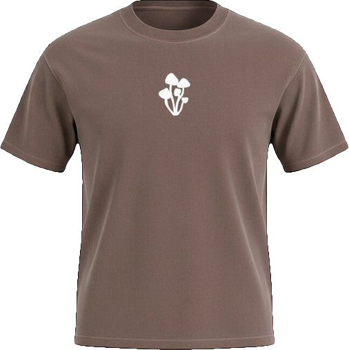 The Gauley heavyweight washed tee in Coffee, front view