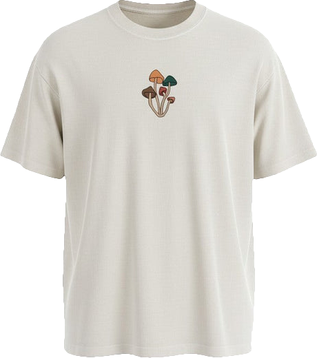 The Sclerotia heavyweight washed tee in Cream, front view