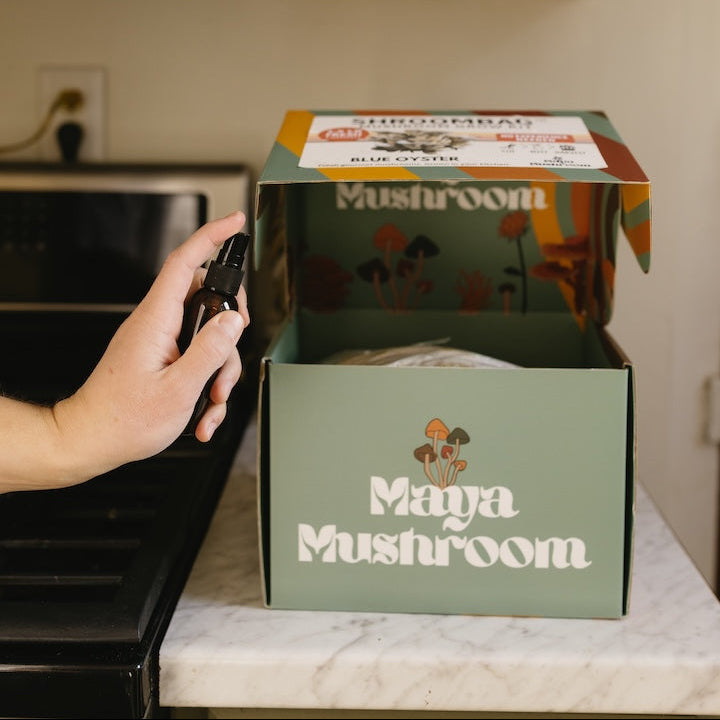 Mist the mushrooms